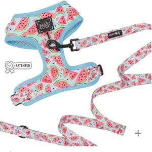 Sassywoof “Oh My Melons” bundle in size Large